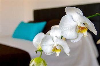 Bleu Mer Residence Saint-Cyprien  Εξωτερικό φωτογραφία